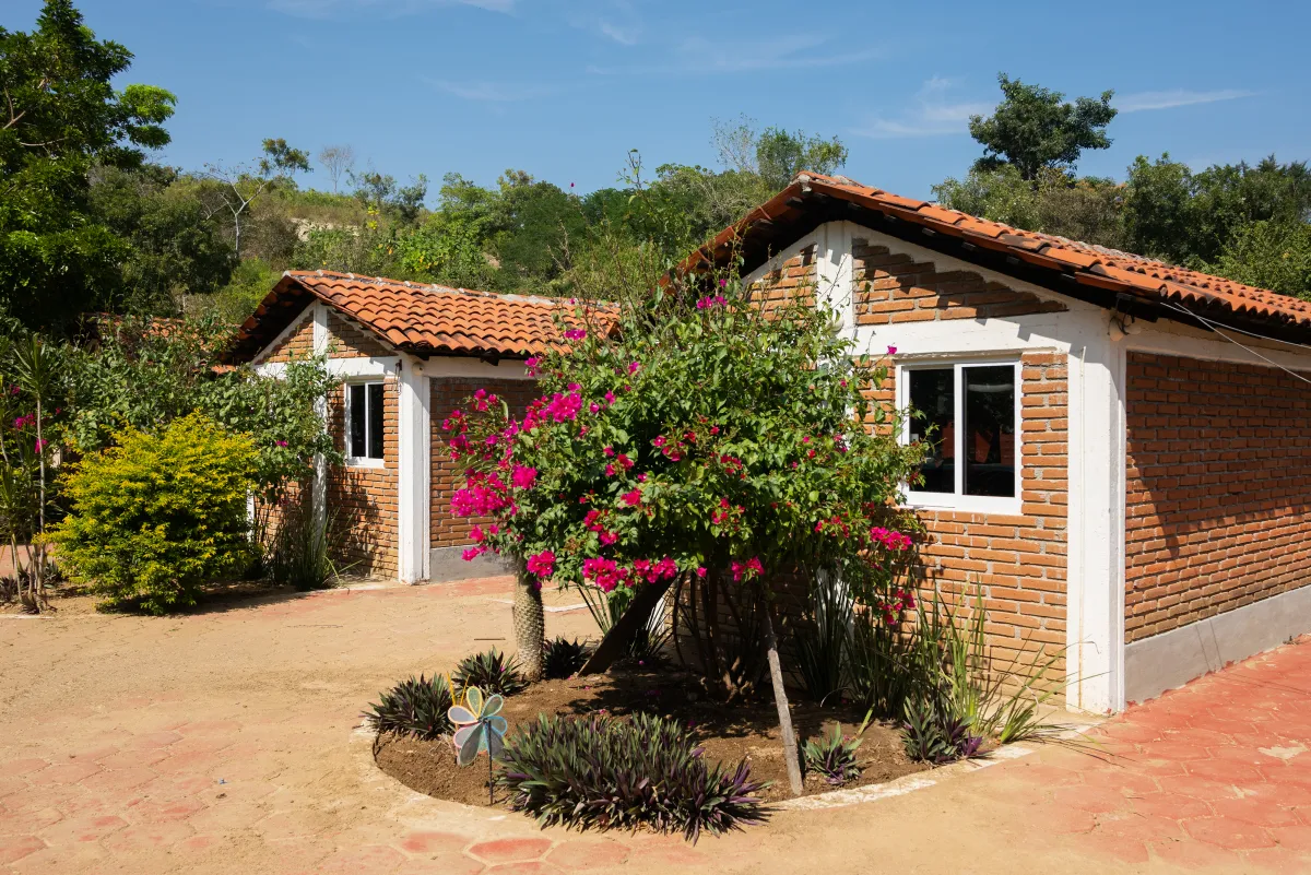 Vista 1